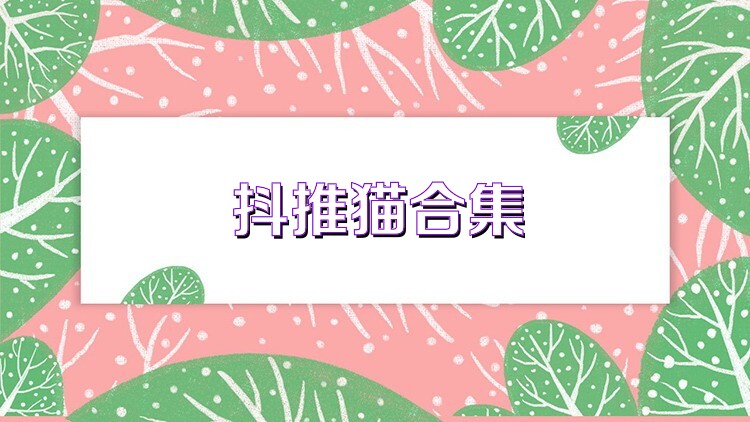 抖推猫合集