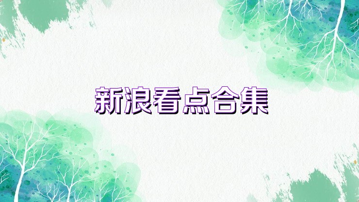 新浪看点合集