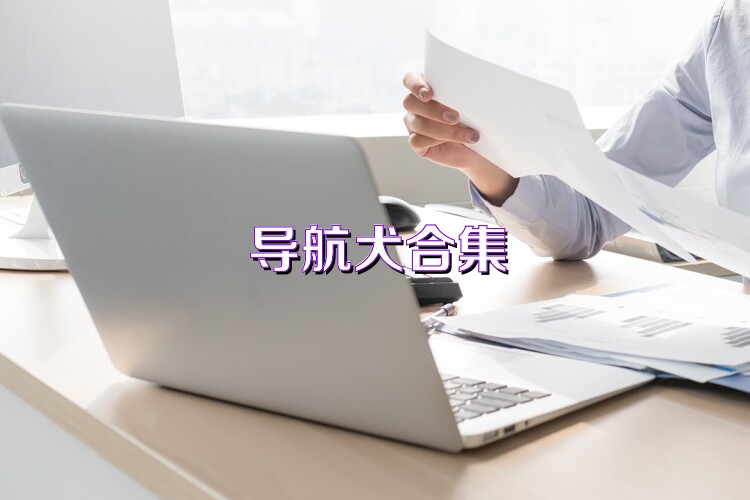 导航犬合集