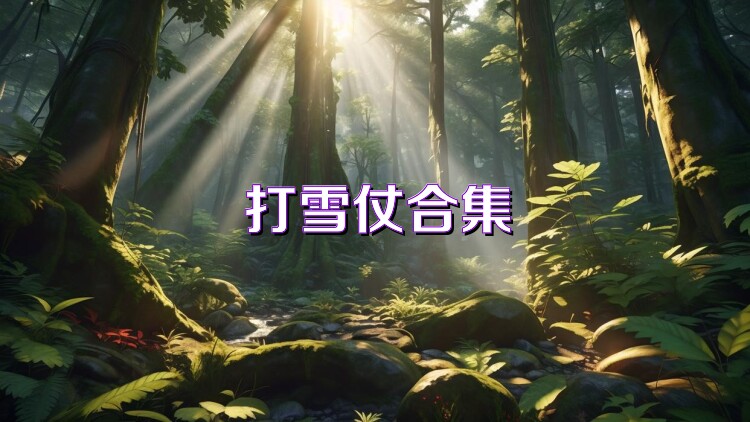 打雪仗合集