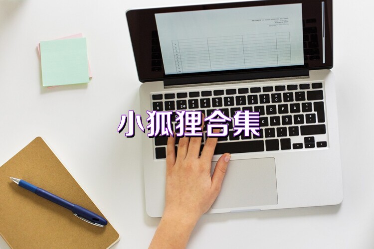 小狐狸合集