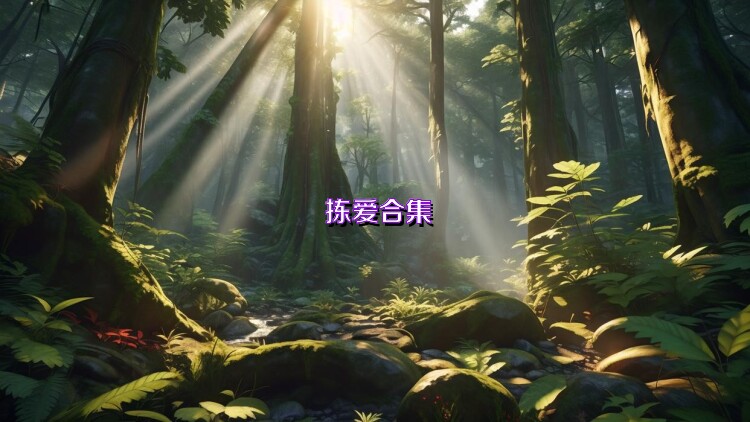 拣爱合集
